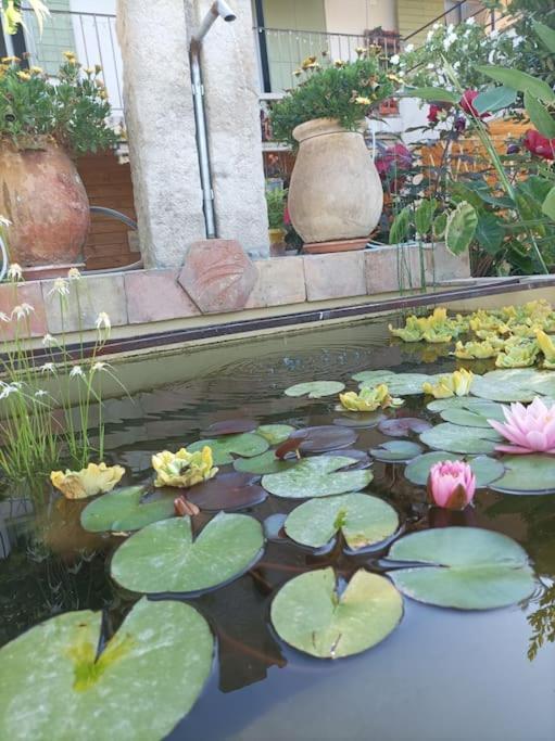 L'oustaou Dorey Apartment Saint-Cyr-sur-Mer